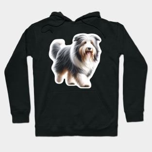 Bearded Collie Hoodie